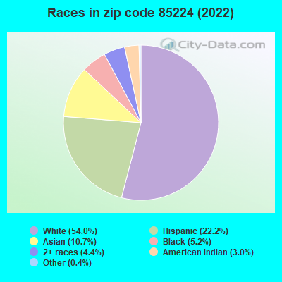 Races in zip code 85224 (2022)