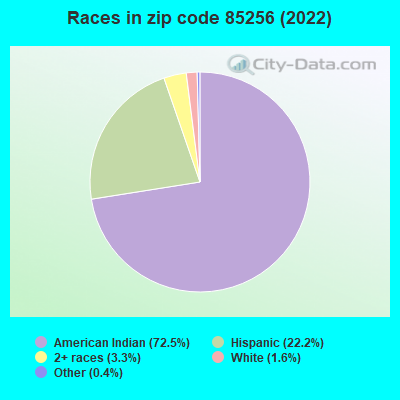Races in zip code 85256 (2022)