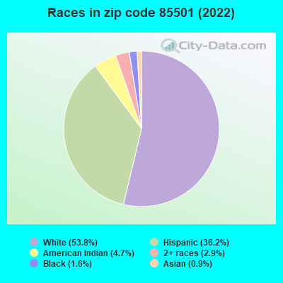 Races in zip code 85501 (2022)