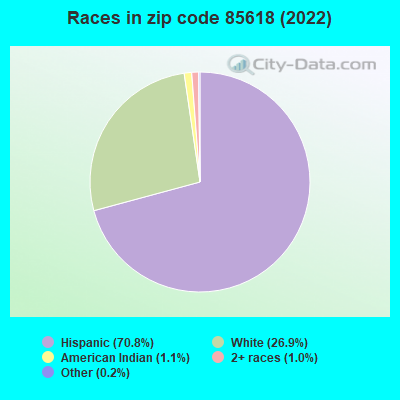 Races in zip code 85618 (2022)