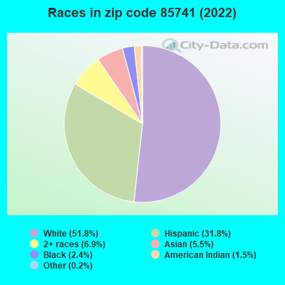 Races in zip code 85741 (2022)