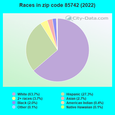 Races in zip code 85742 (2022)