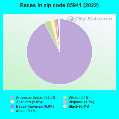 Races in zip code 85941 (2022)