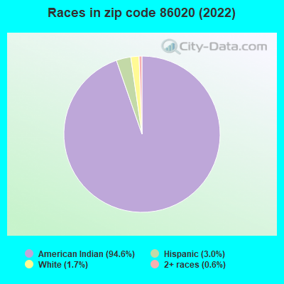 Races in zip code 86020 (2022)