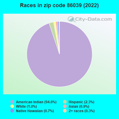 Races in zip code 86039 (2022)