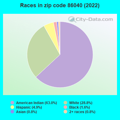 Races in zip code 86040 (2022)