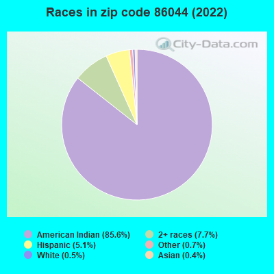Races in zip code 86044 (2022)
