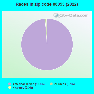 Races in zip code 86053 (2022)
