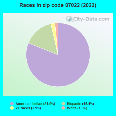 Races in zip code 87022 (2022)