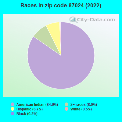 Races in zip code 87024 (2022)