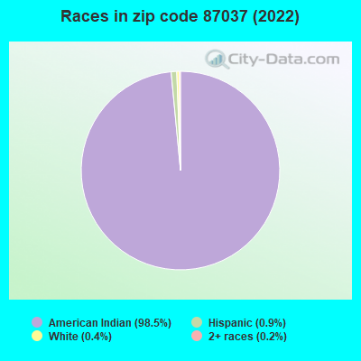 Races in zip code 87037 (2022)