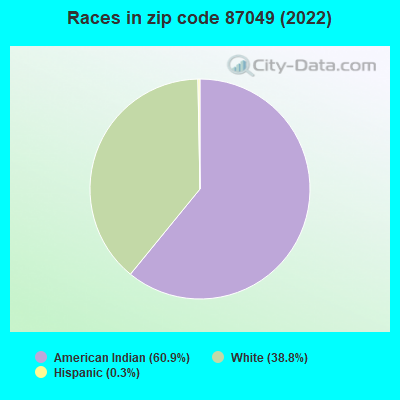 Races in zip code 87049 (2022)
