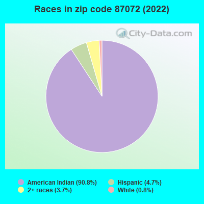 Races in zip code 87072 (2022)