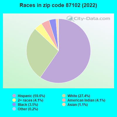 Races in zip code 87102 (2022)