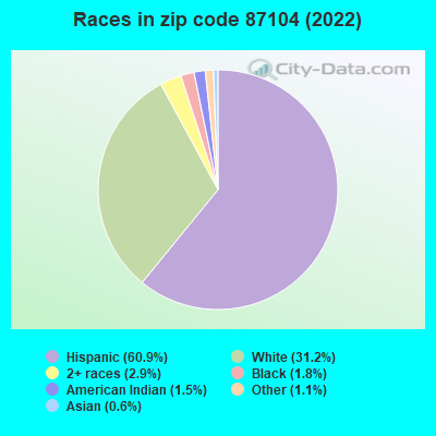 Races in zip code 87104 (2022)