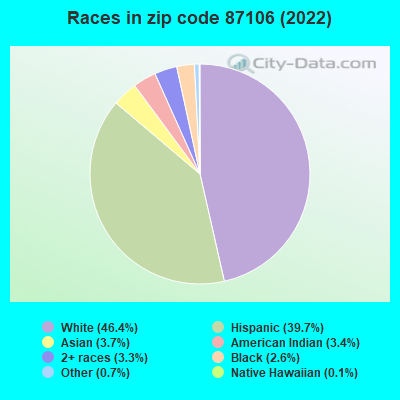 Races in zip code 87106 (2022)