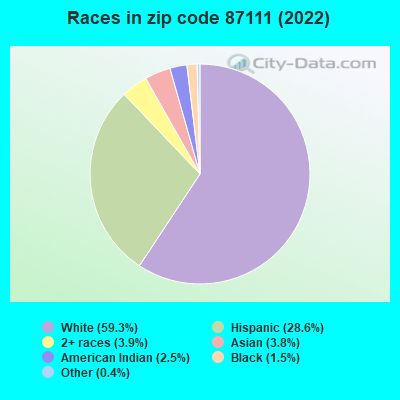 Races in zip code 87111 (2022)