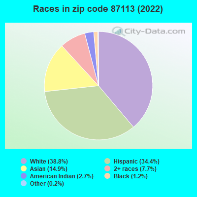 Races in zip code 87113 (2022)