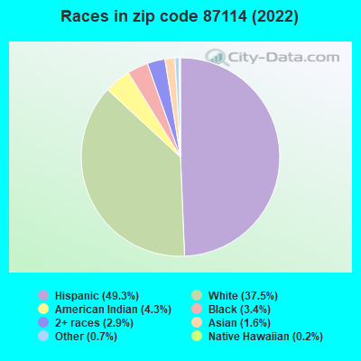 Races in zip code 87114 (2022)
