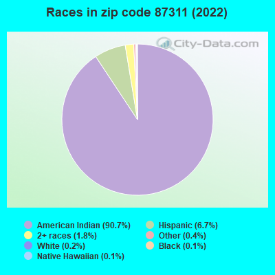 Races in zip code 87311 (2022)