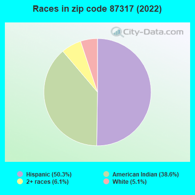 Races in zip code 87317 (2022)