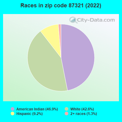 Races in zip code 87321 (2022)