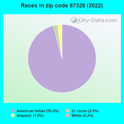 Races in zip code 87328 (2022)