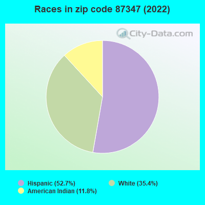 Races in zip code 87347 (2022)