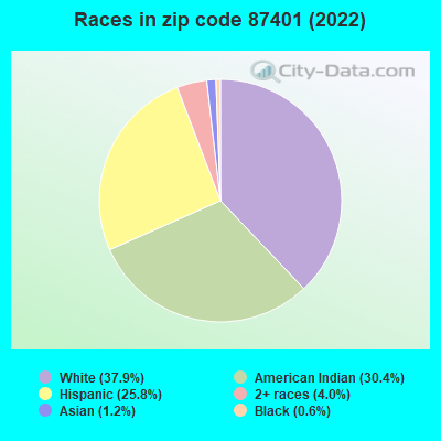 Races in zip code 87401 (2022)