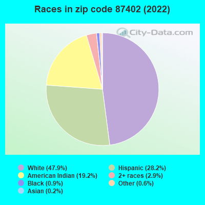 Races in zip code 87402 (2022)