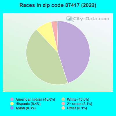 Races in zip code 87417 (2022)