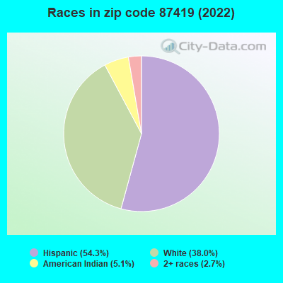 Races in zip code 87419 (2022)