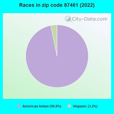 Races in zip code 87461 (2022)