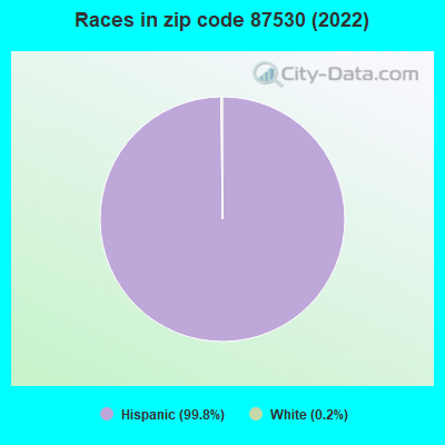 Races in zip code 87530 (2022)