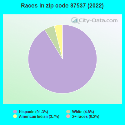 Races in zip code 87537 (2022)