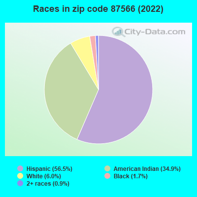 Races in zip code 87566 (2022)