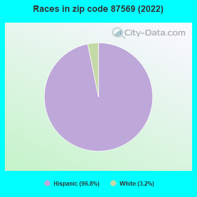 Races in zip code 87569 (2022)