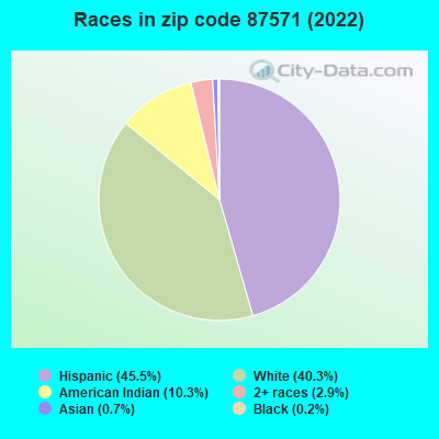 Races in zip code 87571 (2022)