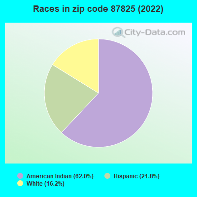 Races in zip code 87825 (2022)