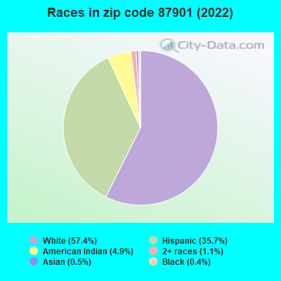 Races in zip code 87901 (2022)