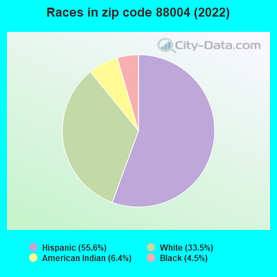 Races in zip code 88004 (2022)