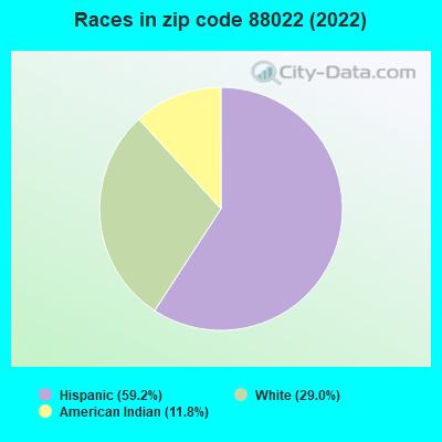 Races in zip code 88022 (2022)