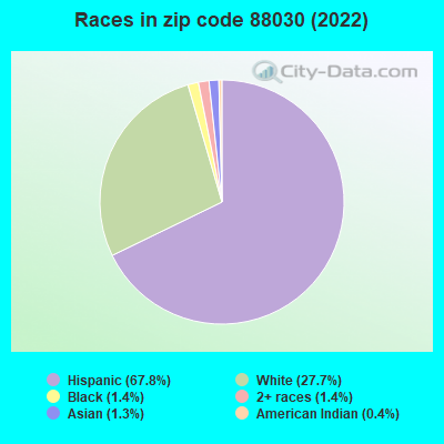 Races in zip code 88030 (2022)