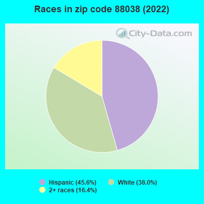 Races in zip code 88038 (2022)