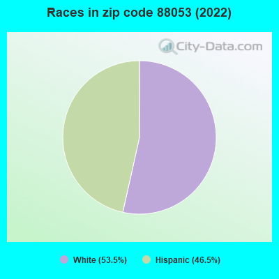 Races in zip code 88053 (2022)