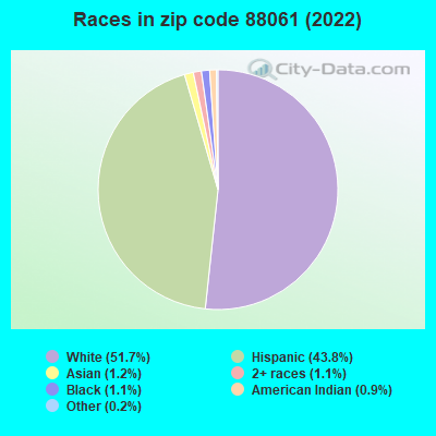 Races in zip code 88061 (2022)