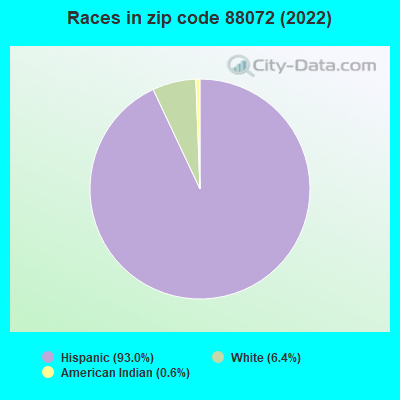 Races in zip code 88072 (2022)