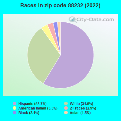 Races in zip code 88232 (2022)