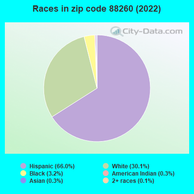 Races in zip code 88260 (2022)