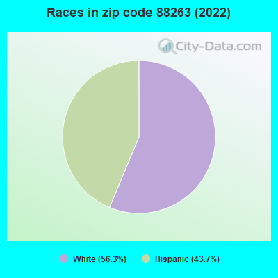 Races in zip code 88263 (2022)